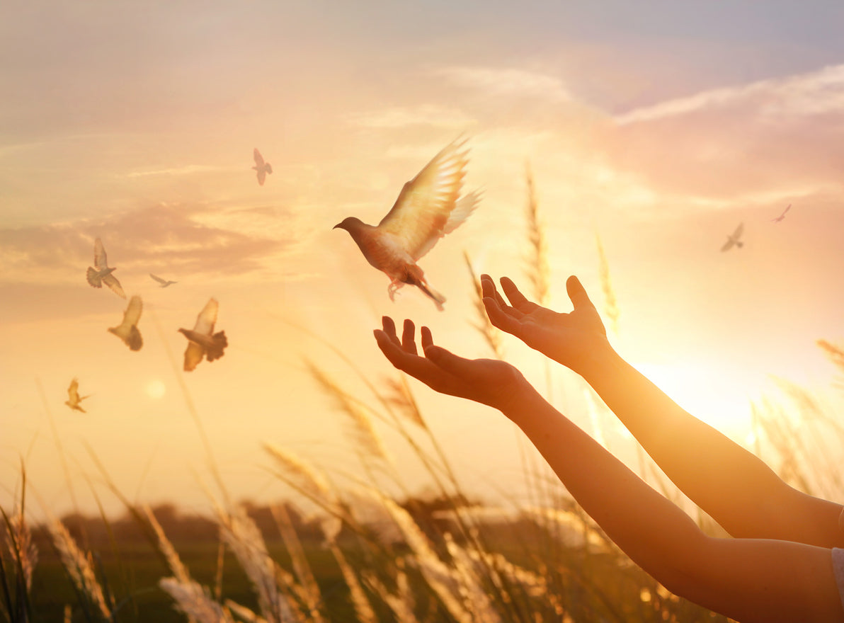Forgiveness That Sets You Free: The Science and Emotional Intelligence Behind Letting Go